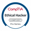 ethical hacker pro